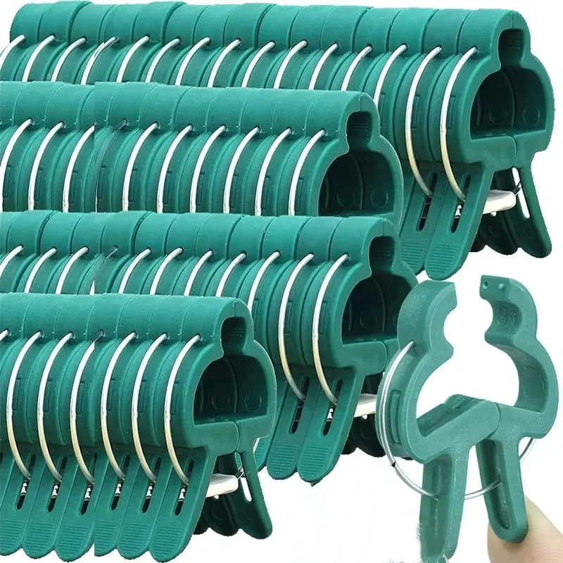 Vine Climbing Plastic - Clip fisse per piante Staffa riutilizzabile