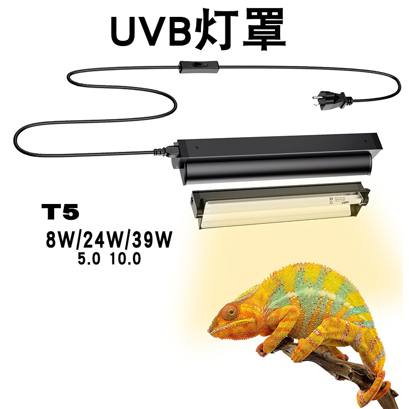 Calcium Powder Reptile - Kit Lampada UVB T5 con Supporto
