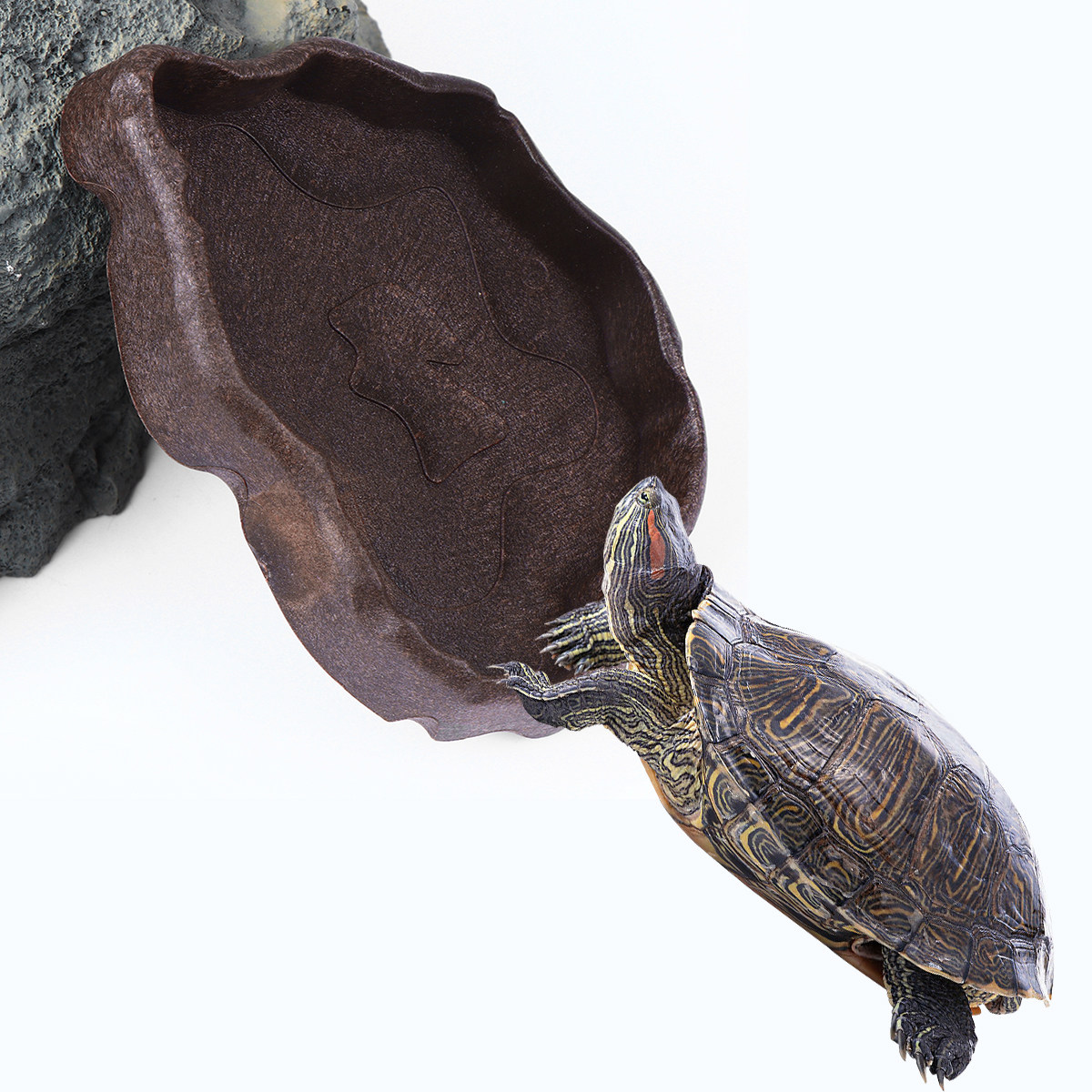 Ciotola in resina per rettili, - Water Dish Reptile recensione e prezzo