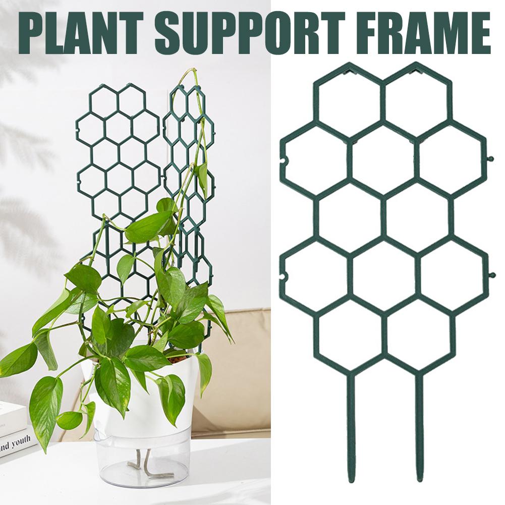 1/2/5 Pezzi Supporto in Plasti - Vine Climbing Plastic recensione e prezzo