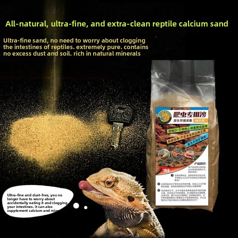 Sabbia di Calcio per Rettili,  - Calcium Powder Reptile recensione e prezzo