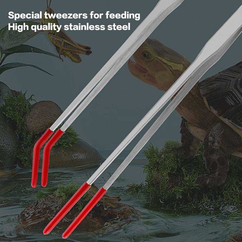 Strumenti per acquari esperti: - Feeding Tong Stainless recensione e prezzo