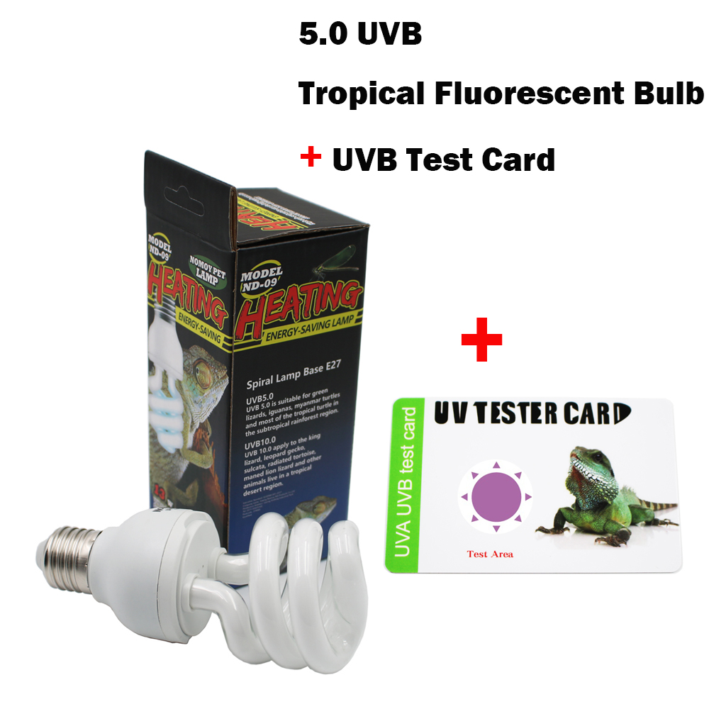 Rettile 5.0 UVB lampada lampad - Calcium Powder Reptile recensione e prezzo