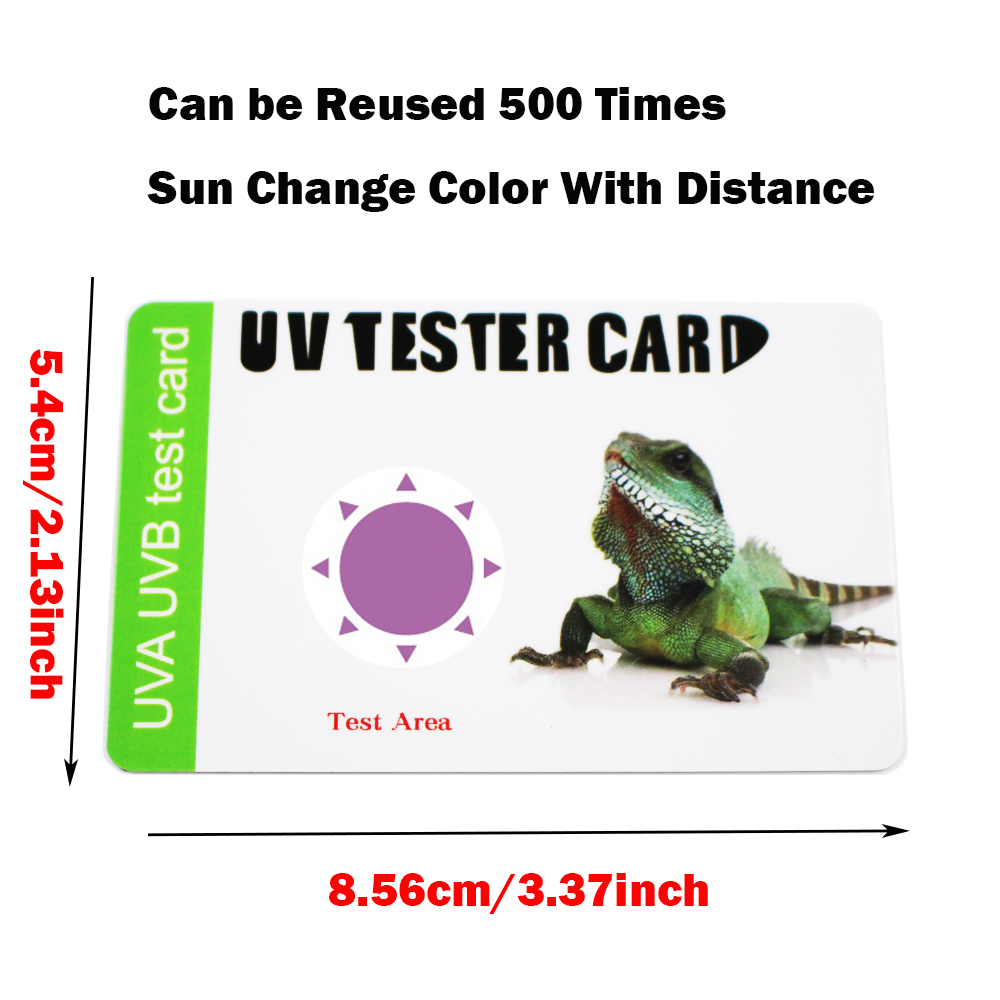 Rettile 5.0 UVB lampada lampad - Calcium Powder Reptile recensione e prezzo
