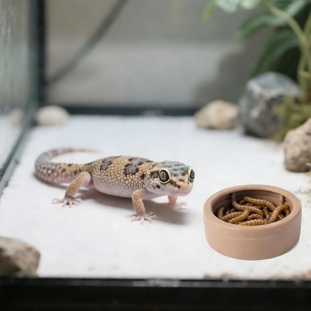 Ciotola Portatile Anti-Fuga pe - Water Dish Reptile recensione e prezzo
