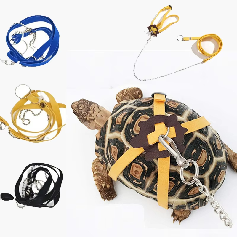 Cintura di Trazione per Tartar - Water Dish Reptile recensione e prezzo
