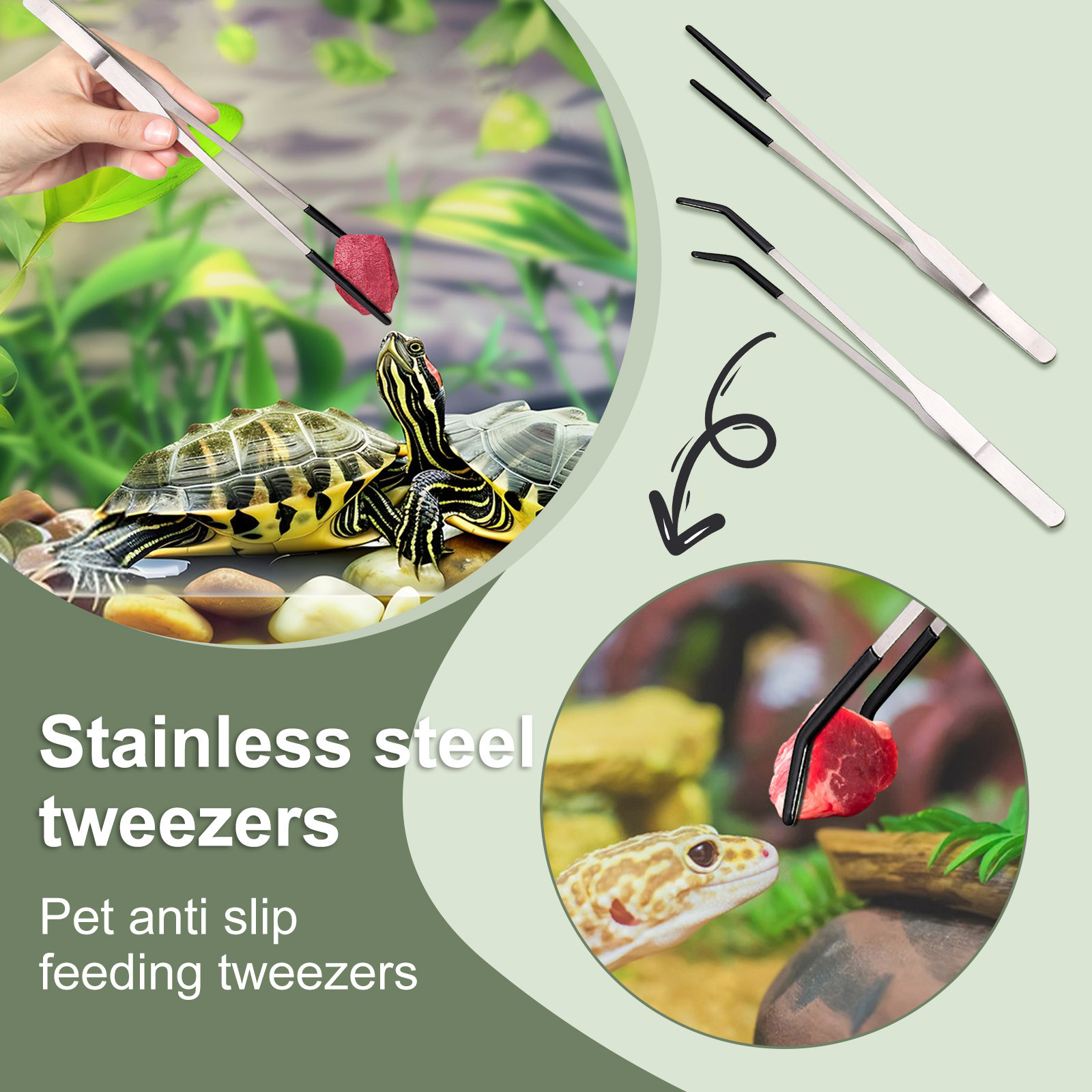 Pinzette lunghe per alimentazi - Water Dish Reptile recensione e prezzo