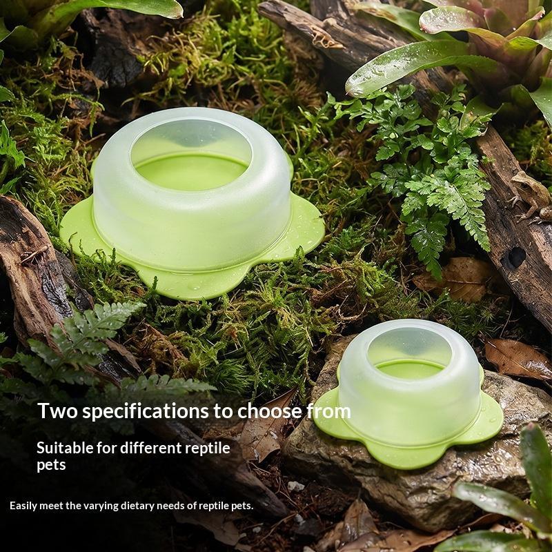 1 Pezzo Ciotola per Alimentazi - Water Dish Reptile recensione e prezzo