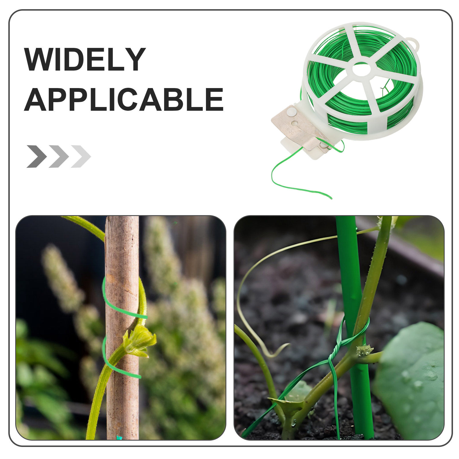 4 Rotoli di Filo da Giardino R - Vine Climbing Plastic recensione e prezzo