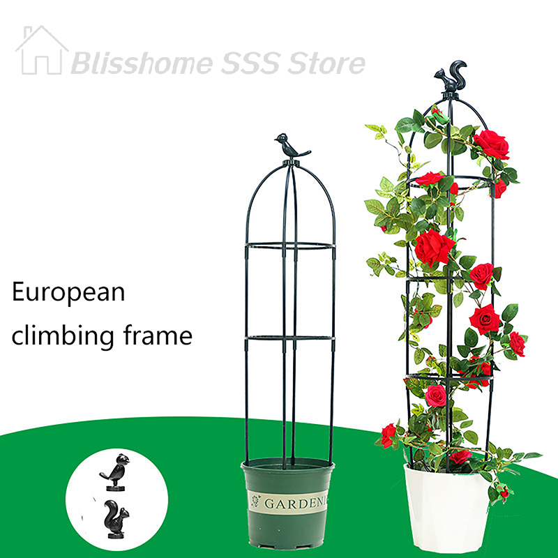 Set di 1 traliccio per piante  - Vine Climbing Plastic recensione e prezzo